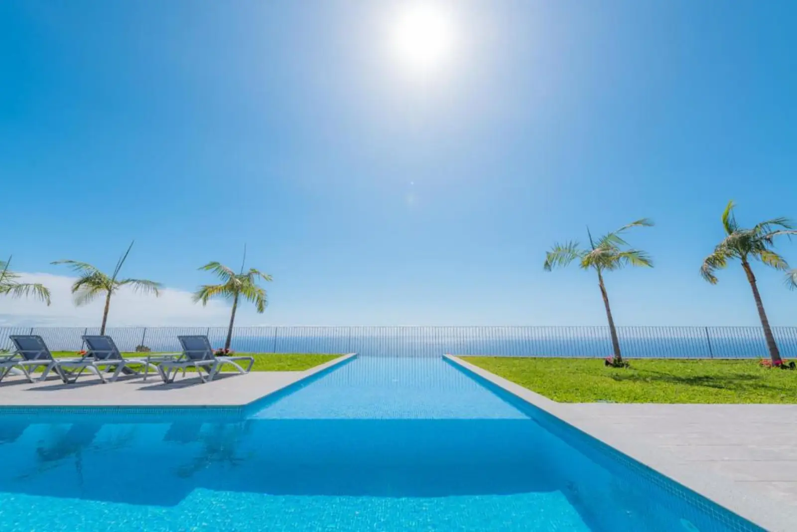 Engenho Velho infinity pool with palm trees overlooking the Atlantic Ocean in Madeira